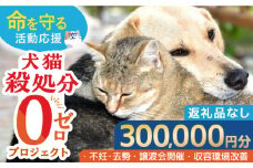 【お礼の品なし】犬猫殺処分ゼロプロジェクト＜300,000円＞長崎県ふるさと納税[42ZZAE007]長崎 長崎の変 動物 犬 猫 いぬ ねこ イヌ ネコ 保護犬 保護猫 支援 応援 チョイス限定 動物愛護 保護 どうぶつ 地域猫 寄付のみ