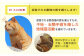 長崎  動物 犬 猫 いぬ ねこ イヌ ネコ 保護犬 保護猫 支援 応援  寄付のみ