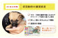 長崎  動物 犬 猫 いぬ ねこ イヌ ネコ 保護犬 保護猫 支援 応援  寄付のみ