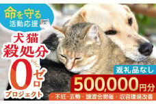 【お礼の品なし】犬猫殺処分ゼロプロジェクト＜500,000円＞長崎県ふるさと納税[42ZZAE008]長崎 長崎の変 動物 犬 猫 いぬ ねこ イヌ ネコ 保護犬 保護猫 支援 応援 チョイス限定 動物愛護 保護 どうぶつ 地域猫 寄付のみ
