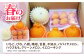 フルーツ 果物 セット 長崎 みかん ぶどう びわ 梨 いちご メロン キウイ 詰合せ 人気