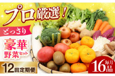 【全12回定期便】 豪華！野菜 セット 16品目以上 野菜どっさりサイズ / 野菜 フルーツ きのこ 詰め合わせ  長崎県/吉岡青果 [42ACAF006]  果物 キノコ 新鮮 セット 詰め合わせ 詰合せ 定期便 産地 直送 国産 季節の野菜 やさい 旬 果物 盛り合わせ ダイエット 野菜セット 野菜の定期便 野菜詰め合わせ