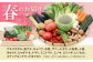 果物 セット 詰め合わせ 詰合せ 定期便 季節の野菜 やさい 旬 果物 盛り合わせ 野菜セット 野菜の定期便 野菜詰め合わせ