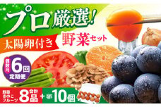 【全6回定期便・偶数月のみお届け】 卵付き野菜セット 野菜 果物 キノコ 8品目 ブランド卵10個 詰め合わせ 少人数世帯向け レギュラーサイズ 長崎県/吉岡青果 [42ACAF008] フルーツ キノコ 新鮮 セット 詰め合わせ 詰合せ 定期便 産地 直送 国産 季節の野菜 ひとりぐらし 一人 ふたりぐらし 二人 太陽たまご 太陽卵 たまご 玉子 野菜の定期便 野菜詰め合わせ