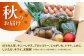 フルーツ セット 詰め合わせ 詰合せ 定期便 季節の野菜 太陽たまご 太陽卵 たまご 玉子 野菜の定期便 野菜詰め合わせ