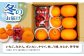 フルーツ 果物 セット 長崎 みかん ぶどう びわ 梨 いちご メロン キウイ 詰合せ 人気 定期便