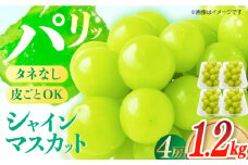 【申込は9月1日まで】糖度18度以上！長崎県産シャインマスカット 1.2kg 種無し 長崎県/長崎果匠[42AABK010]甘い ぶどう マスカット 季節限定 先行予約 しゃいんますかっと 果実 しゃいんますかっと 産地直送 フルーツ ますかっと 冷蔵 旬 贈答 ギフト 贈り物 プレゼント
