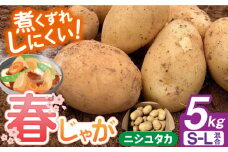 【申込は4/30まで】＜2025年5月〜発送＞長崎県産 春作じゃがいも ニシユタカ 5kg 長崎県/オースタイルファーム株式会社 [42ALAD001] じゃがいも ポテト 長崎 雲仙 ジャガイモ 馬鈴薯 じゃが芋 春じゃが 野菜 産地直送 旬 いも 芋 にしゆたか  サイズ混合