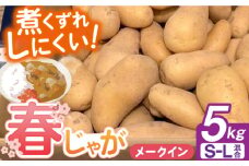 【申込は4/30まで】＜2025年5月〜発送＞長崎県産 春作じゃがいも メークイン 5kg 長崎県/オースタイルファーム株式会社 [42ALAD002] じゃがいも ポテト 長崎 雲仙 じゃがいも ポテト 長崎 雲仙 ジャガイモ 馬鈴薯 じゃが芋 春じゃが メイクイーン 野菜 産地直送 旬 いも 芋  サイズ混合
