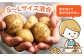 じゃがいも ポテト 長崎 雲仙 うんぜん 料理 煮込み カレー シチュー おでん じゃがちゃん 馬鈴薯 ばれいしょ ジャガイモ 