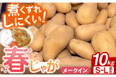 【申込は4/30まで】＜2025年5月〜発送＞長崎県産 春作じゃがいも メークイン 10kg 長崎県/オースタイルファーム株式会社 [42ALAD004]じゃがいも ポテト 長崎 雲仙 ジャガイモ 馬鈴薯 じゃが芋 春じゃが メイクイーン 野菜 産地直送 旬 いも 芋  サイズ混合