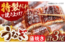うなぎ蒲焼き(170g×3尾) 長崎県/ダイニング味遊 [42ACAG034]