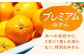 長崎県産 みかん かんきつ 柑橘 フルーツ 果物 旬 ミカン オレンジ 贈答 ギフト 贈り物 お取り寄せ プレゼント