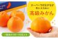みかん ミカン 柑橘 せとか セトカ 果物 くだもの フルーツ 3kg 高級 長崎 贈答 ギフト 野中果樹園 せとか