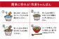皿うどん ちゃんぽん 麺 麺類 スープ 冷凍 小分け 具付き 簡単調理 ギフト 長崎