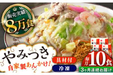 【全3回定期便】《具材付》長崎冷凍皿うどん 総計30食（10食×3回）長崎県/ひふみ [42AABZ023] 皿うどん 麺 麺類 スープ 冷凍 小分け 具付き 簡単調理 ギフト 長崎