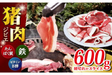 【数量限定】猪肉 切り落とし 200g×3 イノシシ肉 ジビエ 小分け 長崎県/きんかいジビエ組合 [42AABX002]