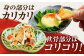 エイヒレ えいひれ 珍味 乾物 干物 つまみ 肉厚 酒 日本酒 ビール ワイン 国産 長崎