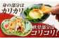 エイヒレ えいひれ 珍味 乾物 干物 つまみ 肉厚 酒 日本酒 ビール ワイン 国産 長崎