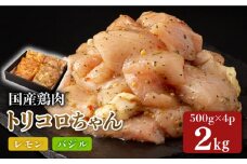 国産鶏肉 トリコロちゃん 2kg（500g×4パック） 長崎県/合同会社肉のマルシン [42AAAO012] お弁当に 国産 国産鶏肉 国産とり肉