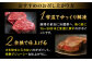 肉 にく 牛肉 和牛 国産牛 国産 長崎県産 ヒレ ステーキ 焼肉 バーベキュー パーティー お祝い 希少 冷凍 長崎