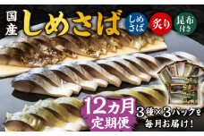 【全12回定期便】 国産 しめさば 3種詰め合わせ 計9P 長崎県/有限会社音丸水産 [42AAAC004] 鯖 さば サバ しめ鯖 シメサバ 国産 冷凍 簡単 おつまみ 人気 長崎