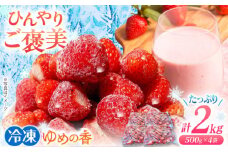 冷凍いちご 長崎県産 ゆめの香 たっぷり2キロ（500g×4袋） 長崎県/わたる農園 [42AABB008] いちご イチゴ 苺 フルーツ スムージー ヨーグルト ジャム フローズン 小分け 2kg