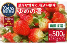 【12月22日お届け クリスマス用】いちご ゆめの香 500g（250g×2パック）長崎県/わたる農園 [42AABB005]