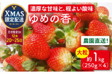【12月25日お届け クリスマス用】＜大粒＞いちご ゆめの香 約1kg（250g×4パック）長崎県/わたる農園 [42AABB006]