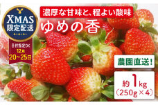 【12月20日お届け クリスマス用】いちご ゆめの香 約1kg（250g×4パック）長崎県/わたる農園 [42AABB007]