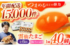 【隔月6回定期便】 雲仙たまご 40個(10個入り×4パック) 長崎県/塚ちゃん雲仙たまご村 [42ACAE042]