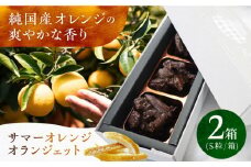 サマーオレンジ オランジェット 2セット 長崎県/心優-CotoyuSweets- [42AFAE013]  ちょこ おれんじ 冷凍 スイーツ  贈答  ギフト