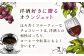 スイーツ お菓子 セット オレンジ チョコレート ビターチョコレート ドライフルーツ ギフト 平戸 長崎 ながさき 