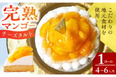 完熟マンゴーチーズタルト 1ホール(14cm・4～6人用) 長崎県/心優-CotoyuSweets- [42AFAE017]  ケーキ 冷凍 マンゴー スイーツ  贈答  ギフト