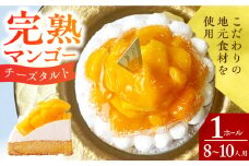 【スピード発送】完熟マンゴーチーズタルト 1ホール(18cm・8～10人用) 長崎県/心優-CotoyuSweets- [42AFAE018]  ケーキ マンゴー 冷凍 スイーツ  贈答  ギフト