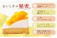 完熟 マンゴー チーズ タルト 1ホール スイーツ 人気 洋菓子 冷凍 ケーキ けーき お菓子 菓子 