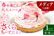 平戸産全粒粉小麦のさくらちーずたると 1ホール(14cm・4～6人用) 長崎県/心優-CotoyuSweets- [42AFAE019]  ケーキ 冷凍 スイーツ  贈答  ギフト