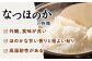 米 お米 コメ 白米 精米 無洗米 5kg 国産 長崎