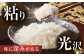 米 お米 コメ 白米 精米 無洗米 5kg 国産 長崎 JA