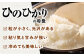 米 お米 コメ 白米 精米 無洗米 5kg 国産 長崎 JA