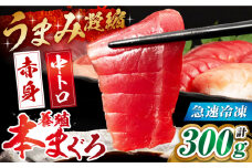 長崎県産 養殖本まぐろ(中トロ・赤身) 計300g以上 長崎県/まるせん鮪本舗 [42ABAT001] 本マグロ 中トロ 赤身 刺身 お刺身 マグロ丼 マグロ漬け丼 ちらし寿司 海鮮 魚 寿司 冷凍 柵 簡単解凍 スライス トロ ねぎとろ 食べ比べ お祝い 贈答 冷凍マグロ 