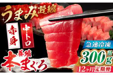 【全12回定期便】長崎県産 養殖本まぐろ(赤身・中トロ) 計300g以上  長崎県/まるせん鮪本舗 [42ABAT006] 本マグロ トロ 赤身 刺身 柵 まぐろ 鮪 養殖 中トロ 中とろ 海鮮丼 魚 海鮮 海産物