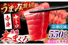 【全6回定期便】長崎県産 養殖本まぐろ(赤身・中トロ) 計550g以上  長崎県/まるせん鮪本舗 [42ABAT008] 本マグロ トロ 赤身 刺身 柵 まぐろ 鮪 養殖 中トロ 中とろ 海鮮丼 魚 海鮮 海産物