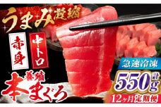 【全12回定期便】長崎県産 養殖本まぐろ(赤身・中トロ) 計550g以上  長崎県/まるせん鮪本舗 [42ABAT009] 本マグロ トロ 赤身 刺身 柵 まぐろ 鮪 養殖 中トロ 中とろ 海鮮丼 魚 海鮮 海産物
