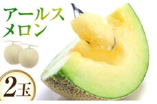 ＜11月～12月発送＞長崎県産 アールスメロン 長崎県/長崎県農産品流通合同会社[42AMAE001] フルーツ 果物 メロン めろん 青肉