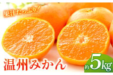 ＜12月~1月発送＞長崎県産 温州みかん 約5kg 長崎県/長崎県農産品流通合同会社 [42AMAE002]