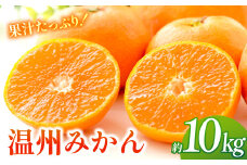 ＜12月~1月発送＞長崎県産 温州みかん 約10kg 長崎県/長崎県農産品流通合同会社 [42AMAE003]