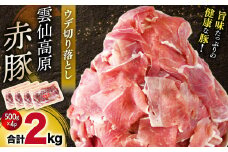 長崎県産 雲仙高原 赤豚 国産 豚ウデ 切り落とし2kg（500ｇ×4P入） 長崎県/長崎県農産品流通合同会社 [42AMAE004] 切り落とし 大容量 小分け しゃぶしゃぶ