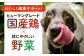 ドッグフード おやつ ペットフード 小型犬 中型犬 大型犬  トイプードル チワワ 柴犬 ミニチュアダックス ポメラニアン