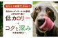 ドッグフード おやつ ペットフード 小型犬 中型犬 大型犬  トイプードル チワワ 柴犬 ミニチュアダックス ポメラニアン